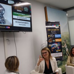 Contesteco Awards 2024