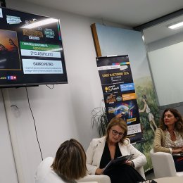 Contesteco Awards 2024