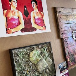 Contesteco e Exhibition - 2024