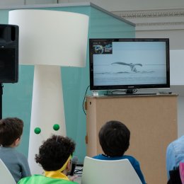 Experience 23 Marzo - pomeriggio