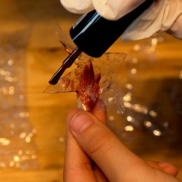 Experience 24 Febb - pomeriggio